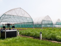 ILVO (Instituut voor Landbouw-, Visserij- en Voedingsonderzoek )